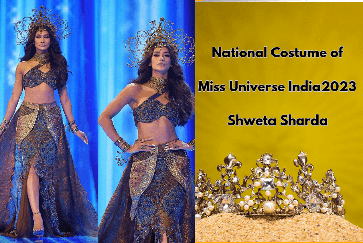 miss universe 2023 national costume india